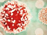 Российские ученые выделили из иглокожего вещество для борьбы с раком