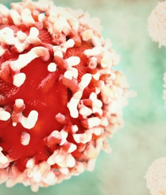 Российские ученые выделили из иглокожего вещество для борьбы с раком