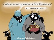 Медики скептически оценили вакцинацию животных от коронавируса