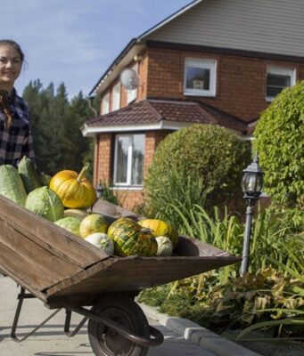 Фермеры: Из-за дождей черешня гнила на деревьях, зато ждем рекордный урожай моркови и картофеля