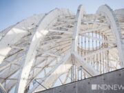 «Циркеннале»: художники запустили флешмоб против проведения биеннале в цирке