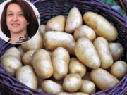 Директор Украинской ассоциации производителей картофеля Оксана Руженкова: Вы никогда не отличите ГМО-картошку от настоящей