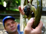 Коммунальные новшества: кого отключат за неуплату и нужно ли платить за перерасчет тепла