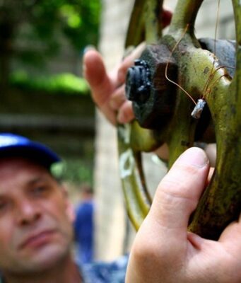 Коммунальные новшества: кого отключат за неуплату и нужно ли платить за перерасчет тепла