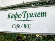 Неправильная точность. Спецпроект РИА «Новый День» Язычник