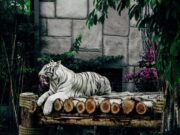 Астрологи назвали правила поведения в Новом году Тигра 2022