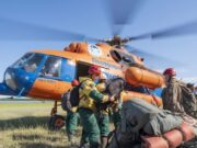 Главный ресурс мировой экологии: как в России работает программа восстановления и охраны лесов