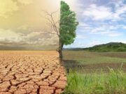 Глобальное изменение климата: причины, как с этим бороться