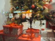 У католиков всего мира начался сочельник