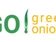 Работа за границей для украинцев