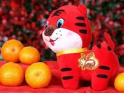 Наступил Год Тигра: чем отметились его «полосатые» предшественники