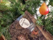 Винни-Пух и всё про всех: до боли русская история