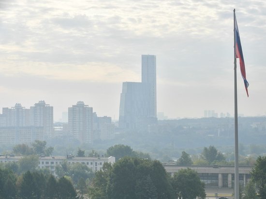 Появились новые версии причины рязанских пожаров: под подозрением пчеловоды