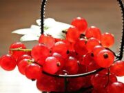 Сорбет, ликёр, соус к мясу: топ самых необычных блюд из смородины