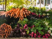 Спасение от кризиса: британская семья перешла на подножный корм