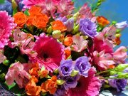 Подарки с поводом и без!