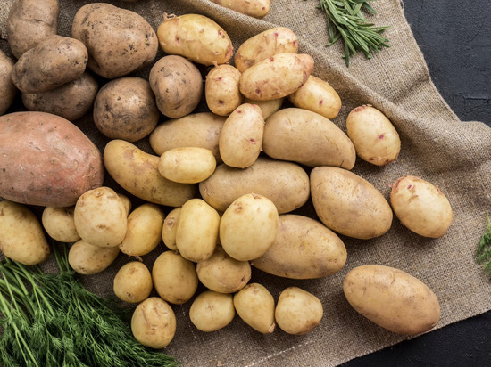 Россиянам надоело выращивать картошку: «Выходит дороже, чем в магазине»