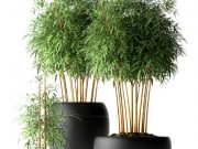 Купити рослини: поради та рекомендації для успішної покупки