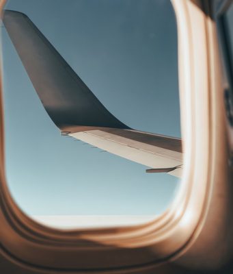 Эксперт ВОЗ объяснила секс дебоширки с пассажиром самолета: случается при слабоумии