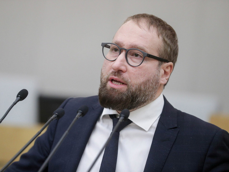 Депутат Леонов назвал запрет публичного упоминания запрещенных соцсетей «действием неумных взрослых»