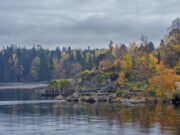 «Охота за листьями»: где лучше всего встречать золотую осень