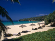 Назван самый выгодный отпуск в декабре