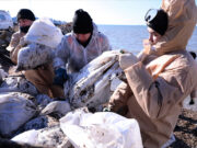 Дождь из мазута: раскрыты внезапные последствия экологической катастрофы на Черном море