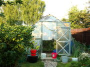 Дачная паника на пустом месте: Туманов призвал не верить бреду