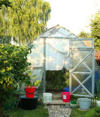 Дачная паника на пустом месте: Туманов призвал не верить бреду