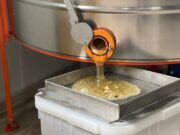 «Пчелы сами выбрали нас»: как живет хабаровская семья пчеловодов