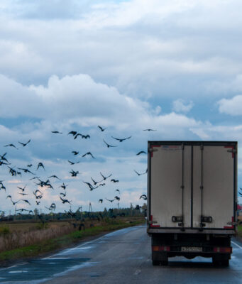 29 сентября: Что можно и чего нельзя делать в праздник Птичьей костки