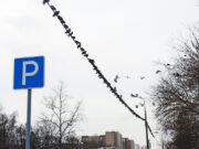 Столичные бизнес-центры начали сокращать количество паркингов: названа причина