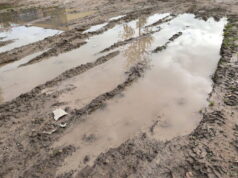 Что можно, а что нельзя делать 27 октября на Параскеву Грязнуху