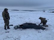 ПВО сбила десятки шахедов в ночь на субботу