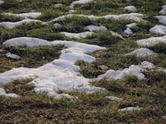 Синоптик рассказал, придет ли оттепель после морозов на Татьянин день