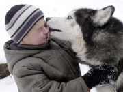 Ветеринар рассказал, какие породы собак требуют длительного и активного выгула