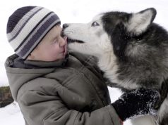 Ветеринар рассказал, какие породы собак требуют длительного и активного выгула