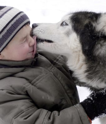 Ветеринар рассказал, какие породы собак требуют длительного и активного выгула