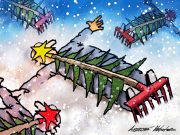 Стало известно, что грозит горожанам за неправильный выброс новогодней елки