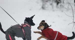 Что можно, а что нельзя делать 3 февраля в Максимов день