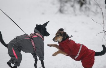 Что можно, а что нельзя делать 3 февраля в Максимов день