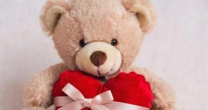 «Под маской плюшевого бреда»: о вреде Дня святого Валентина рассказывают депутаты и чиновники