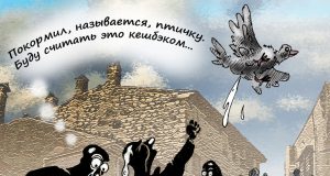 Горожане возмутились штрафами за самовольные цветники во дворе: как сделать их законными